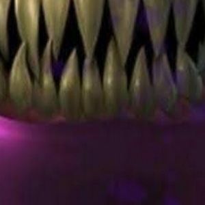 Meet your Posher, Janice